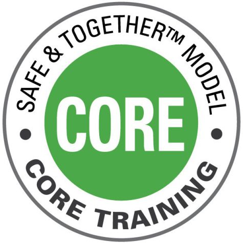 Four-Day Accredited Training: Safe & Together Model CORE Training