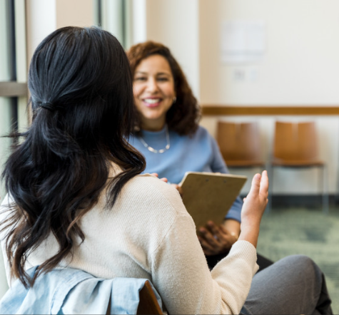 FDV-informed Practice Supervision